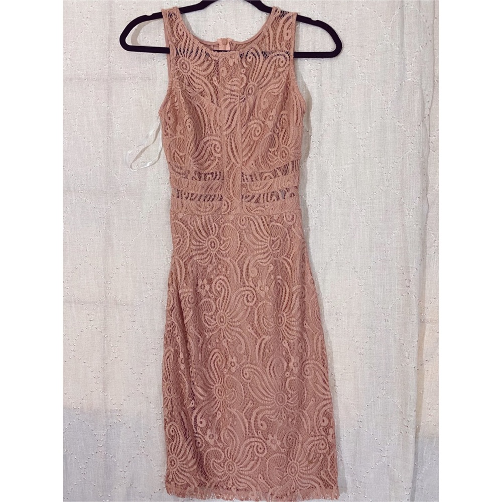 En Focus studio pink lace dress